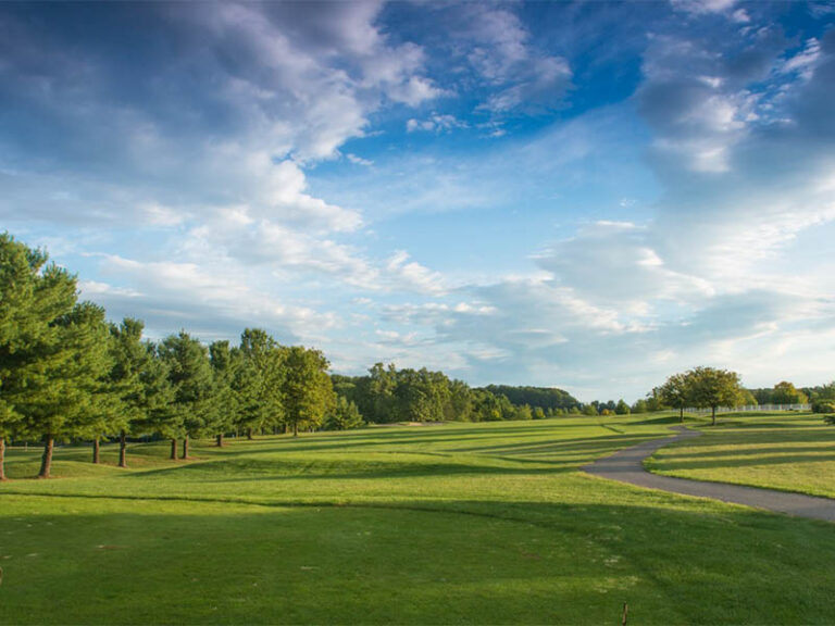 LC-site-image-38-1.jpg